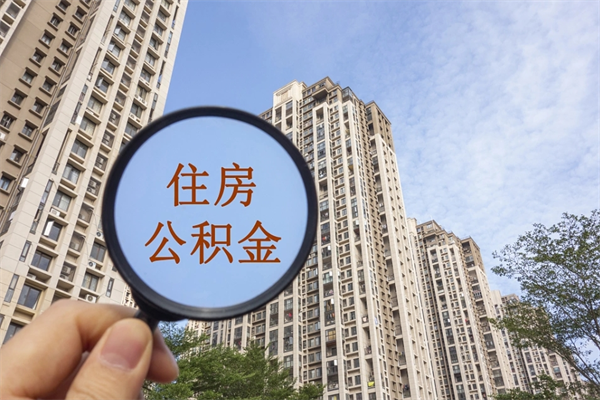 德州住房公积金怎么提（怎样提取住房公基金）